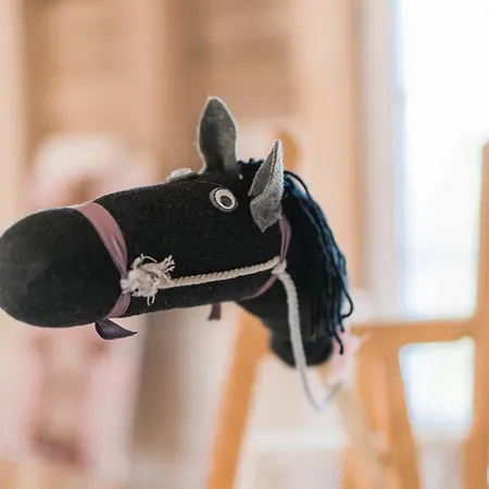 Hof Koehne - Haus Landvergnuegen Links * Schmallenberg