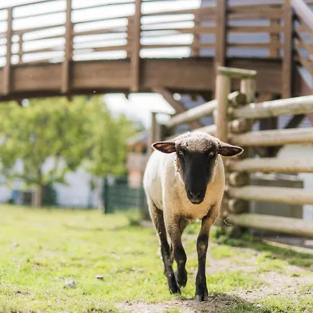Hof Koehne - Haus Landvergnuegen Links Casa de Férias *