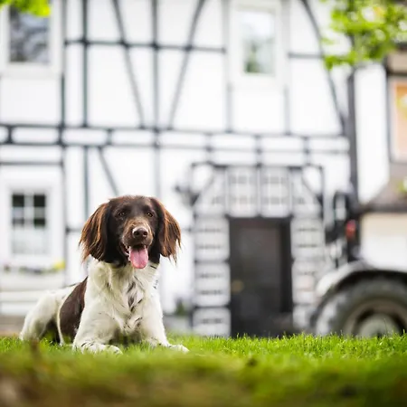 Hof Koehne - Haus Landvergnuegen Links *