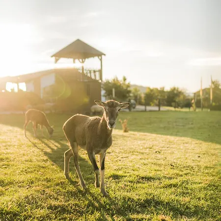 Casa de Férias Hof Koehne - Haus Landvergnuegen Links