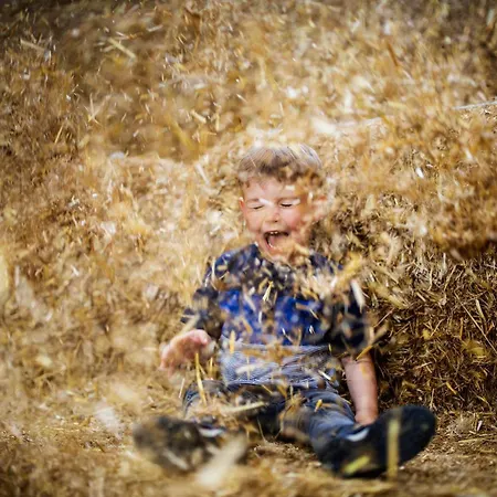 Hof Koehne - Haus Landvergnuegen Links Casa de Férias