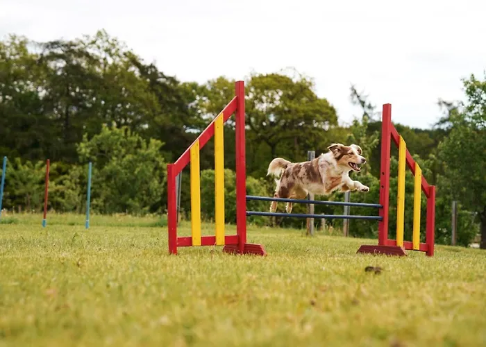Hof Köhne - Haus Landvergnügen Links
