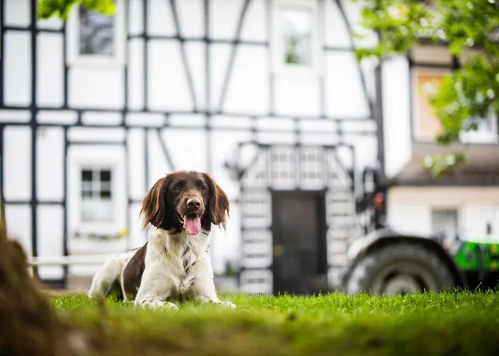 Hof Köhne - Haus Landvergnügen Links *