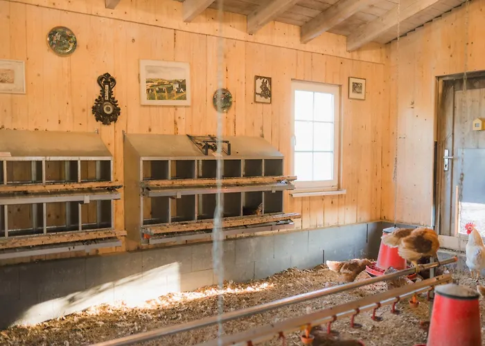 Hof Köhne - Haus Landvergnügen Links * Schmallenberg