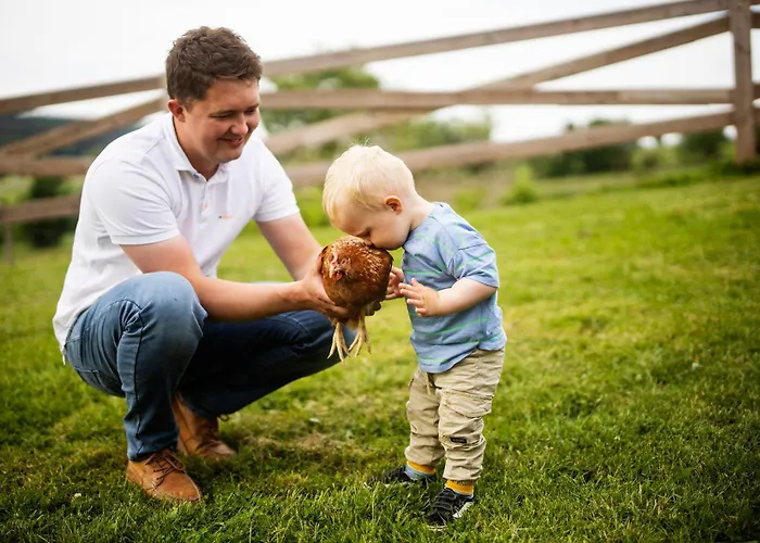 Hof Köhne - Haus Landvergnügen Links *