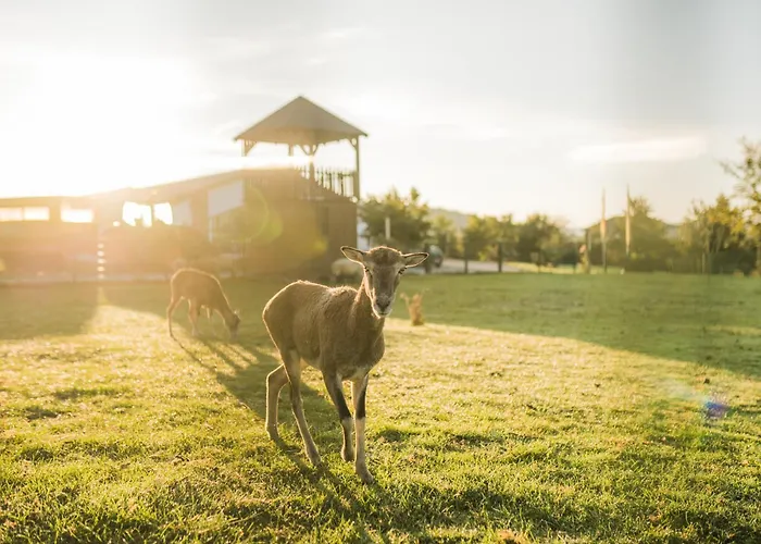 Сasa de vacaciones Hof Köhne - Haus Landvergnügen Links
